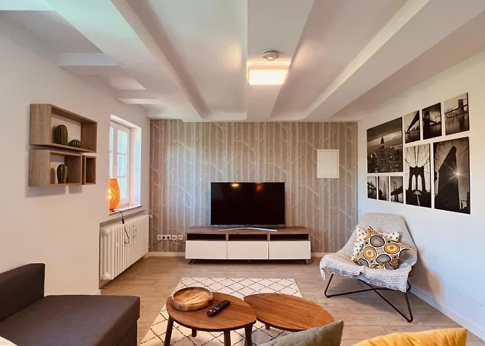 弗雷德特罗姆宫酒店 4* 多尔马根