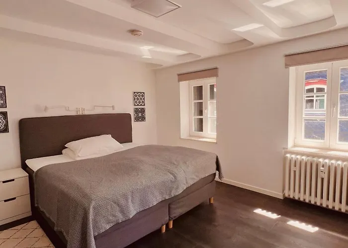 弗雷德特罗姆宫酒店 酒店