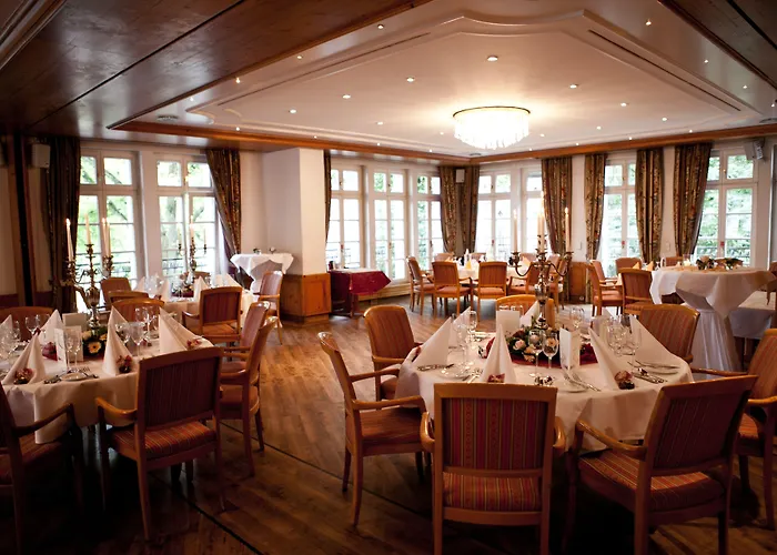 弗雷德特罗姆宫酒店 4* 多尔马根