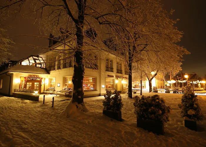 弗雷德特罗姆宫酒店 4* 多尔马根