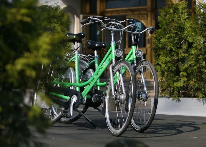 弗雷德特罗姆宫酒店 酒店 4*