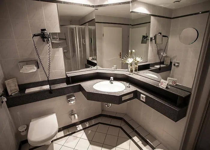 弗雷德特罗姆宫酒店 4* 多尔马根